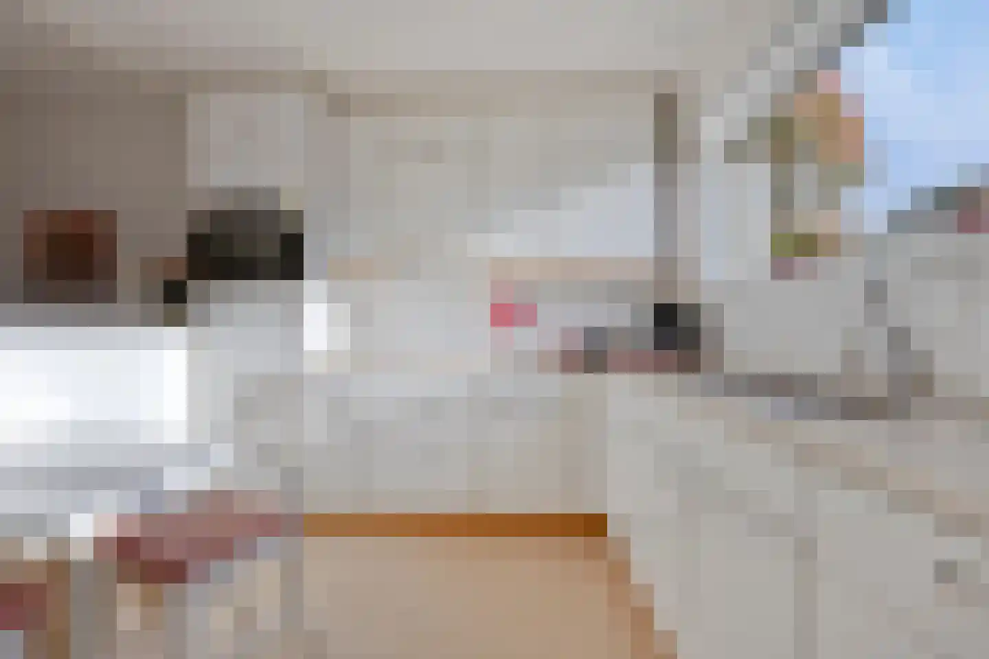 Zwanenkade 142 Krimpen aan den IJssel thumbnail 10