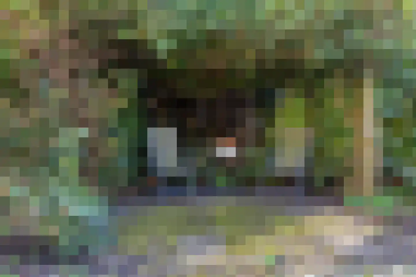 Zwanenkade 142 Krimpen aan den IJssel thumbnail 41