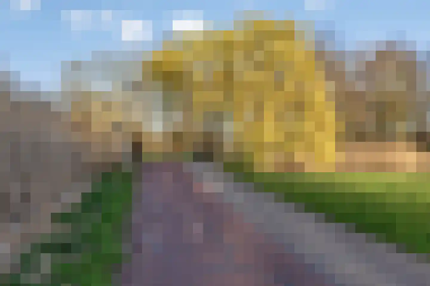 Zwanenkade 142 Krimpen aan den IJssel thumbnail 48