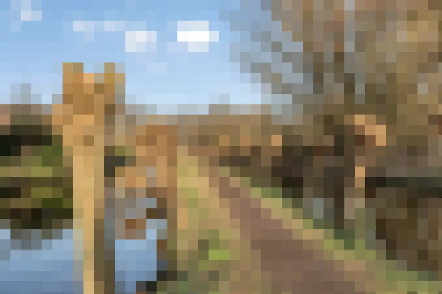 Zwanenkade 142 Krimpen aan den IJssel thumbnail 50
