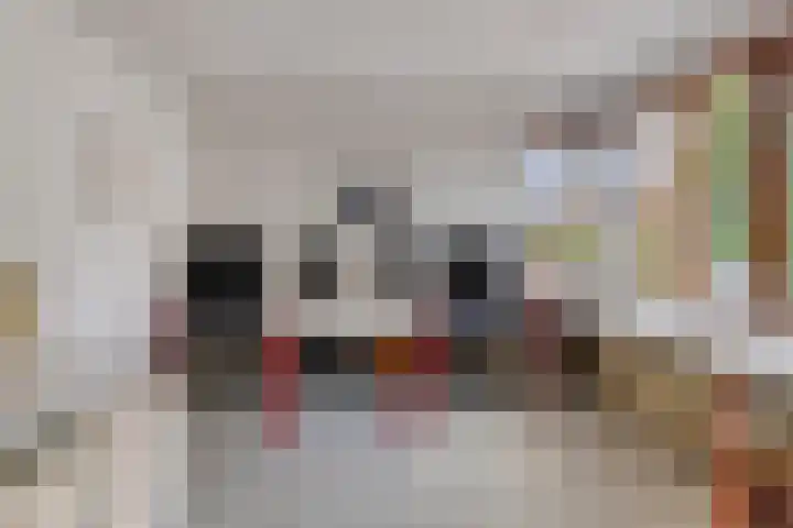 Zwanenkade 96 Krimpen aan den IJssel thumbnail 18