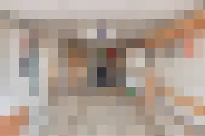 Zwanenkade 96 Krimpen aan den IJssel thumbnail 27