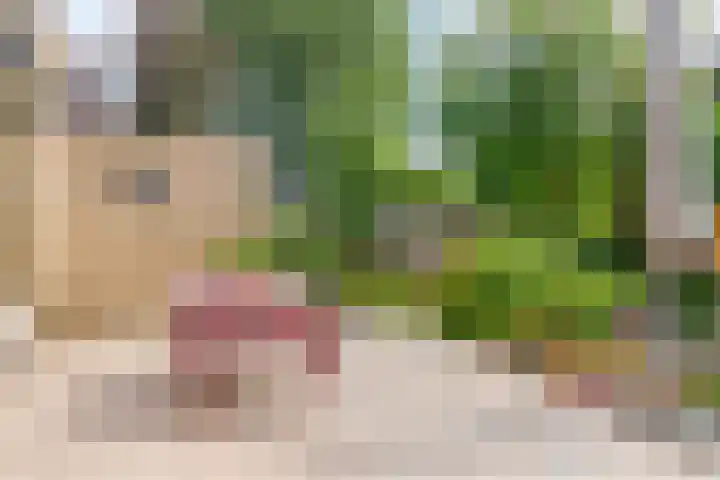 Zwanenkade 96 Krimpen aan den IJssel thumbnail 30