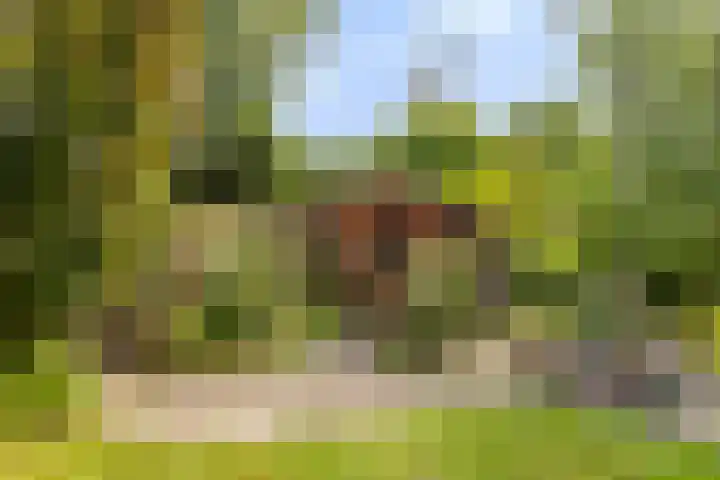 Zwanenkade 96 Krimpen aan den IJssel thumbnail 32