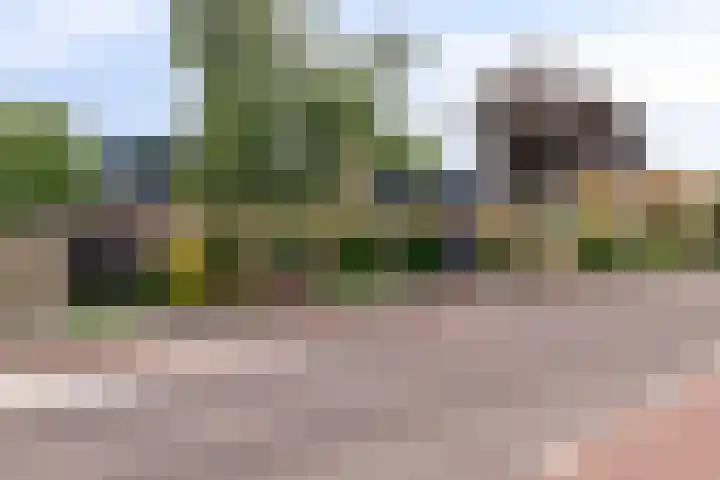 Zwanenkade 96 Krimpen aan den IJssel thumbnail 37