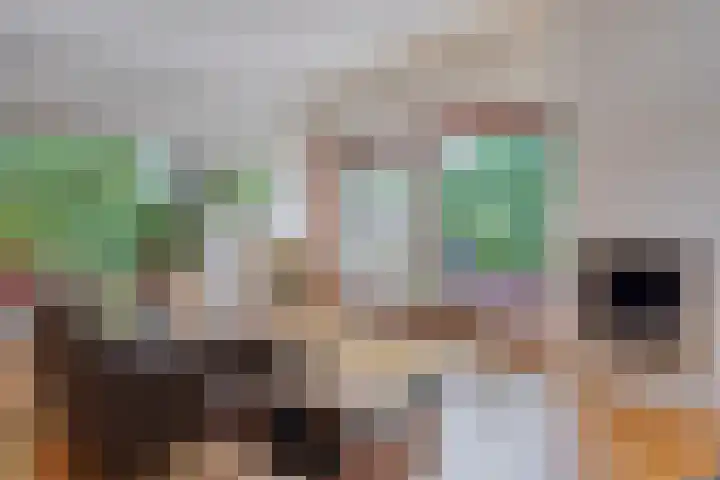 Zwanenkade 96 Krimpen aan den IJssel thumbnail 4