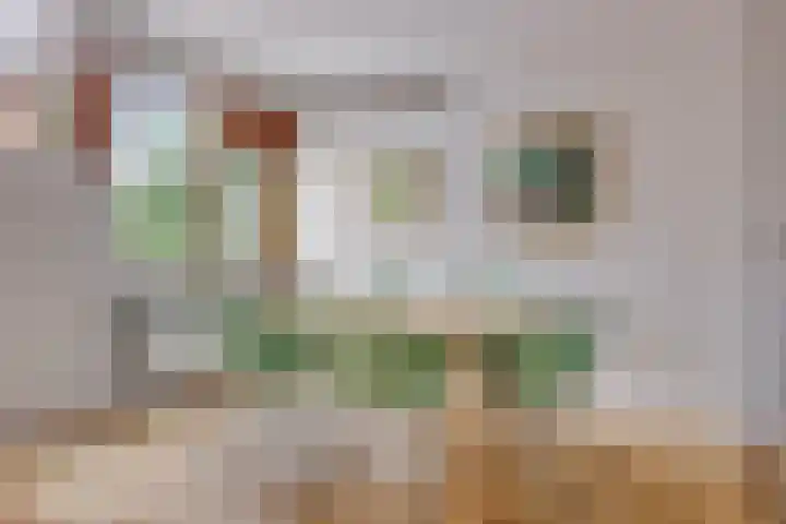 Zwanenkade 96 Krimpen aan den IJssel thumbnail 8