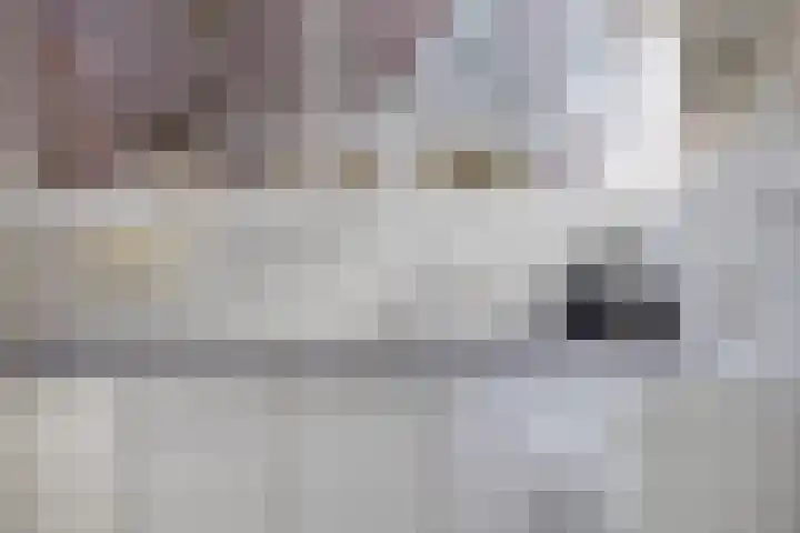 Zwanenkade 98 Krimpen aan den IJssel thumbnail 13