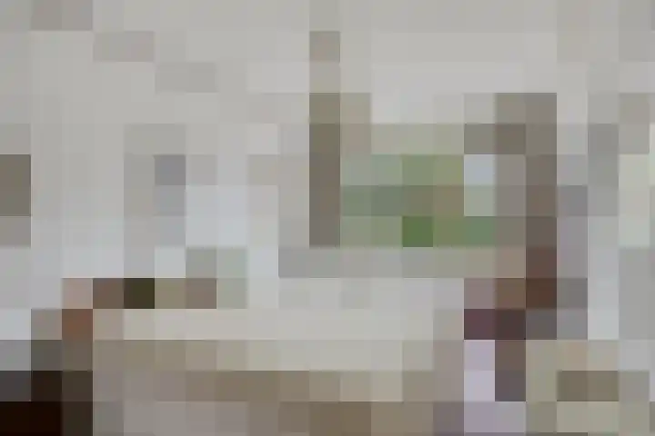 Zwanenkade 98 Krimpen aan den IJssel thumbnail 19