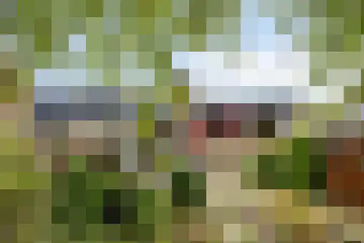 Zwanenkade 98 Krimpen aan den IJssel thumbnail 31