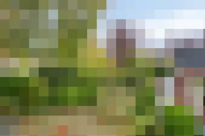 Zwanenkade 98 Krimpen aan den IJssel thumbnail 32