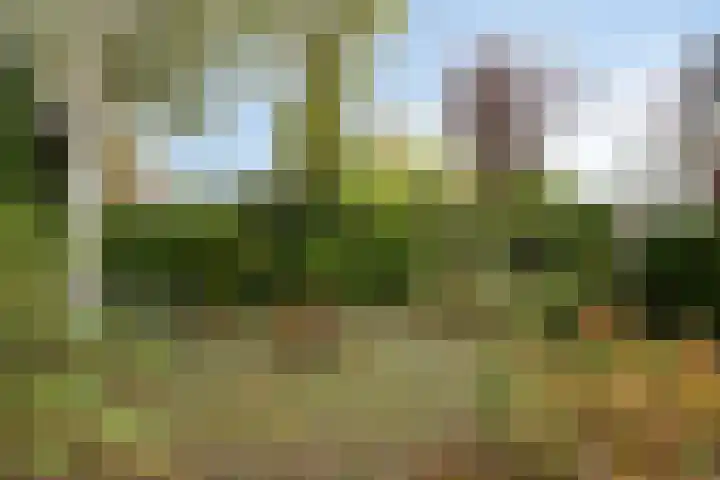 Zwanenkade 98 Krimpen aan den IJssel thumbnail 37