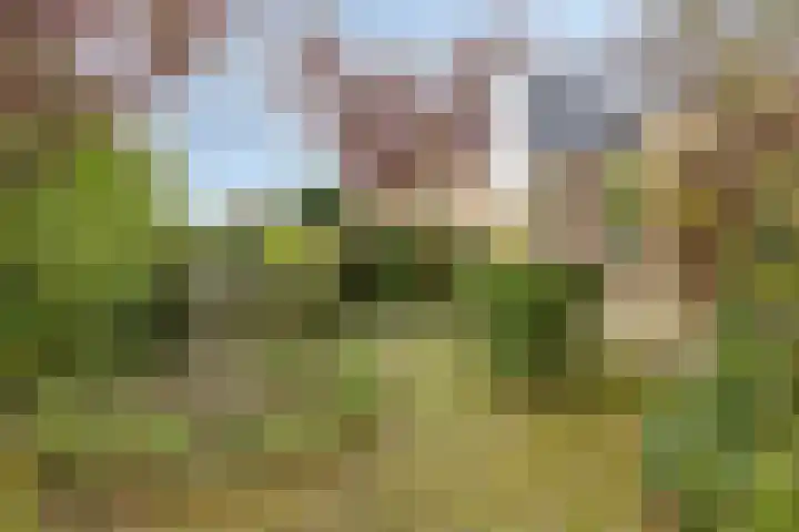 Zwanenkade 98 Krimpen aan den IJssel thumbnail 38