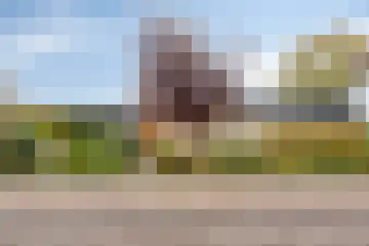 Zwanenkade 98 Krimpen aan den IJssel thumbnail 42