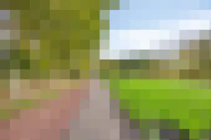 Zwanenkade 98 Krimpen aan den IJssel thumbnail 47