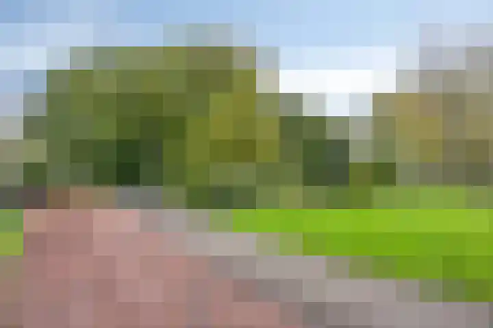 Zwanenkade 98 Krimpen aan den IJssel thumbnail 48
