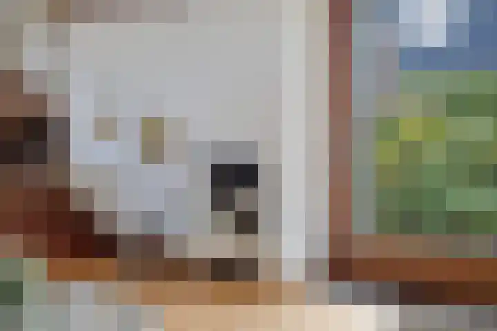 Zwanenkade 98 Krimpen aan den IJssel thumbnail 9