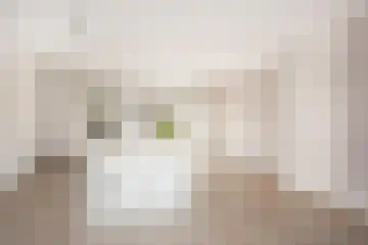 Zwanenkamp 1067 Maarssen thumbnail 10