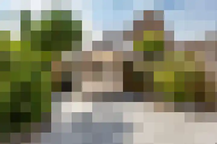 Zwanenkamp 1067 Maarssen thumbnail 30