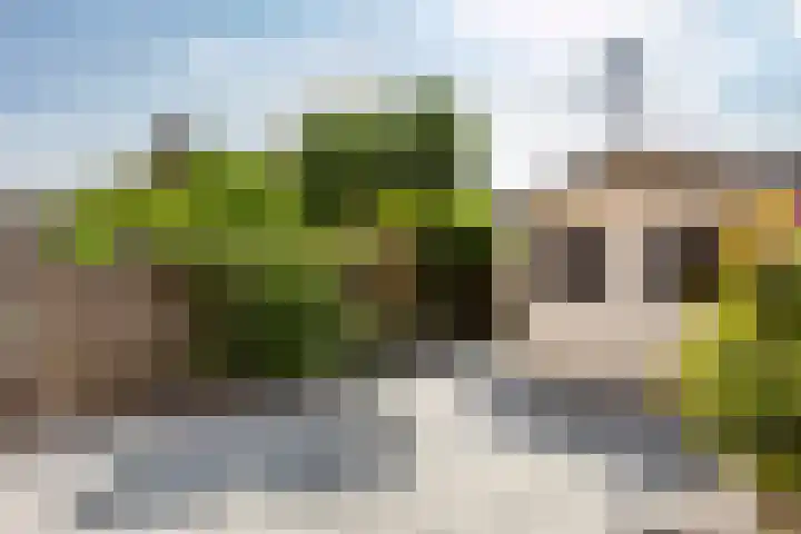 Zwanenkamp 1067 Maarssen thumbnail 31