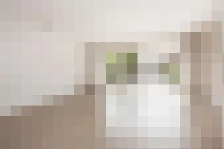 Zwanenkamp 1067 Maarssen thumbnail 8