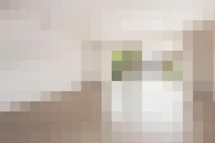 Zwanenkamp 1067 Maarssen thumbnail 9