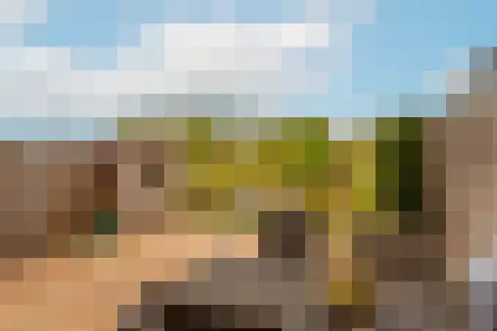 Zwanenkamp 1078 Maarssen thumbnail 19