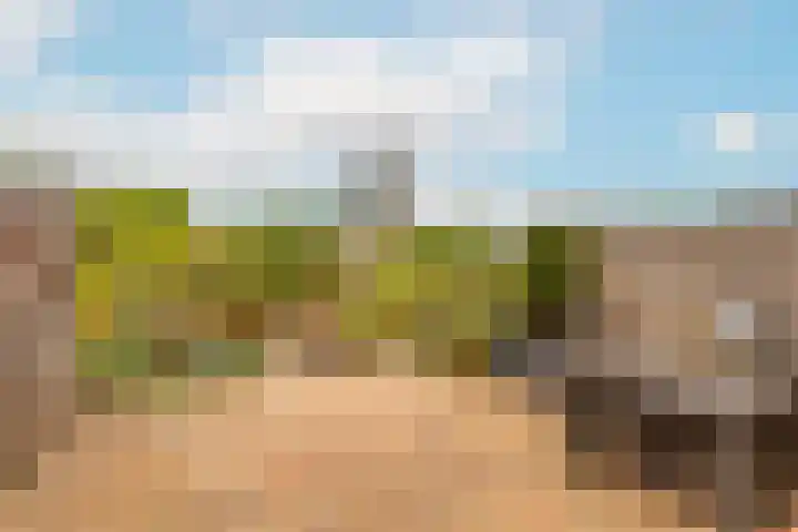 Zwanenkamp 1078 Maarssen thumbnail 20
