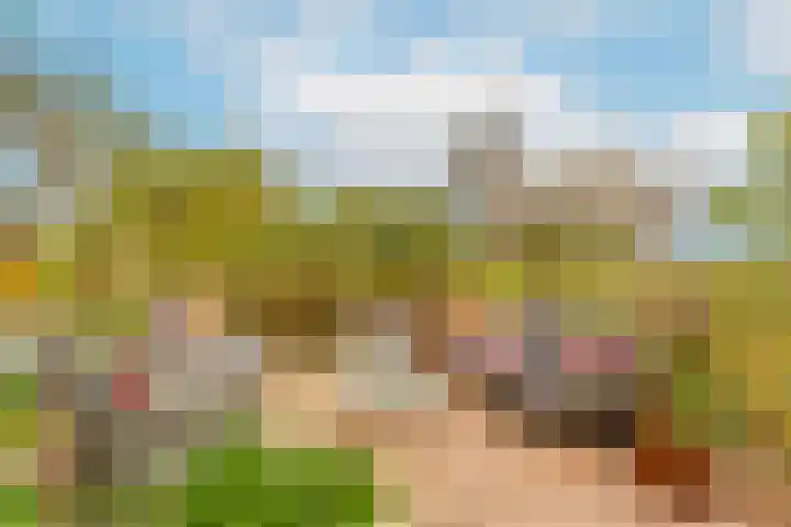 Zwanenkamp 1078 Maarssen thumbnail 21