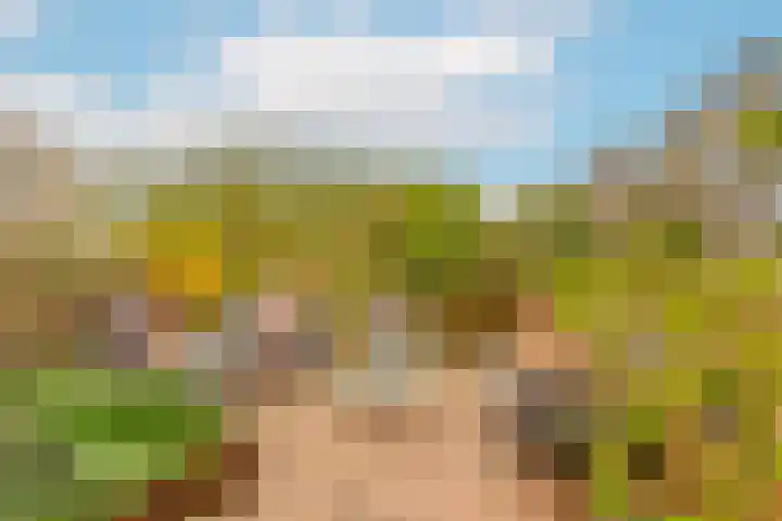 Zwanenkamp 1078 Maarssen thumbnail 22