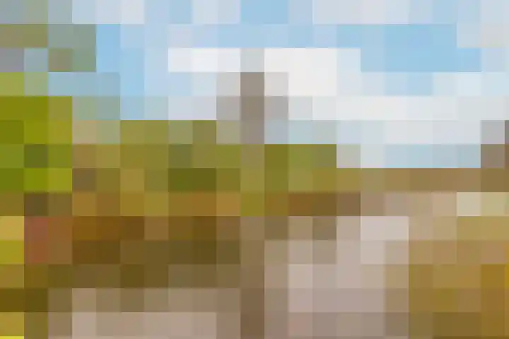 Zwanenkamp 1078 Maarssen thumbnail 26
