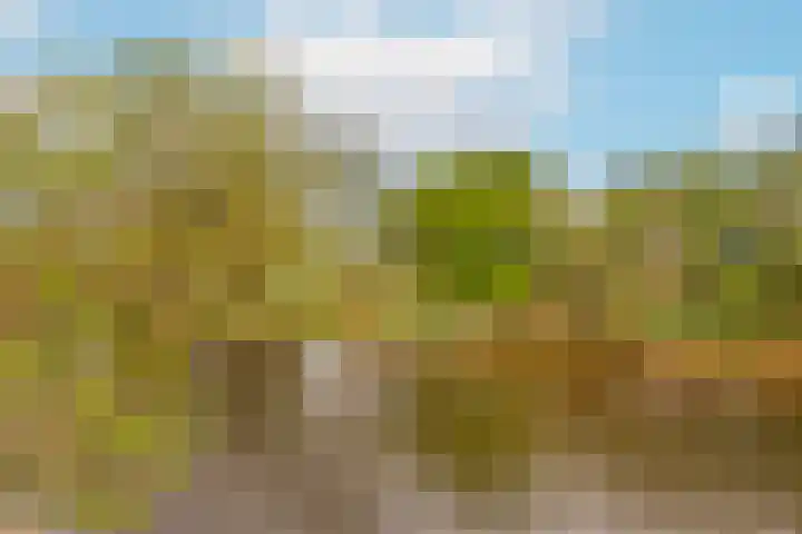 Zwanenkamp 1078 Maarssen thumbnail 27