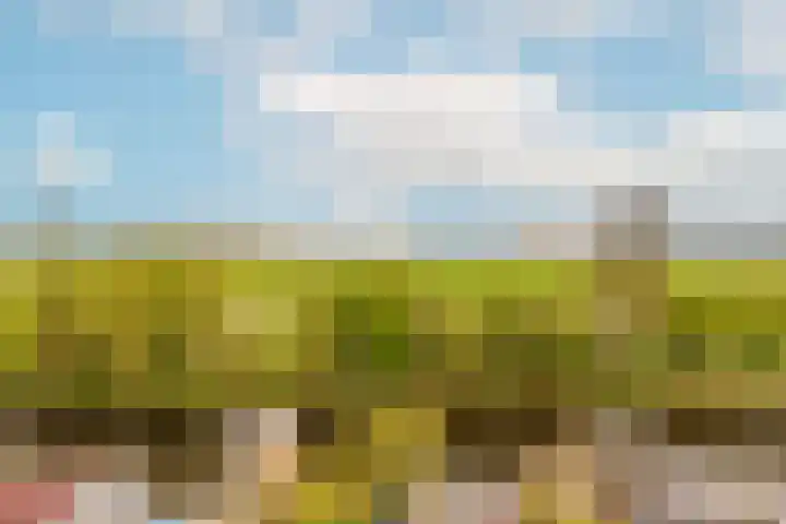 Zwanenkamp 1078 Maarssen thumbnail 42