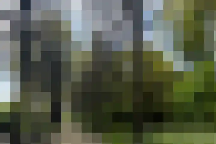 Zwanenkamp 1078 Maarssen thumbnail 50
