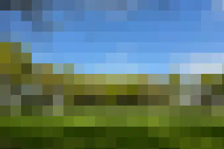Zwanenkamp 1078 Maarssen thumbnail 51