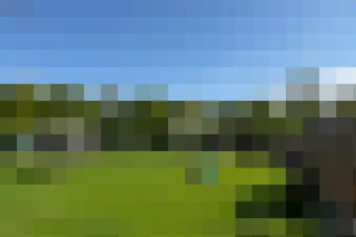Zwanenkamp 1078 Maarssen thumbnail 53