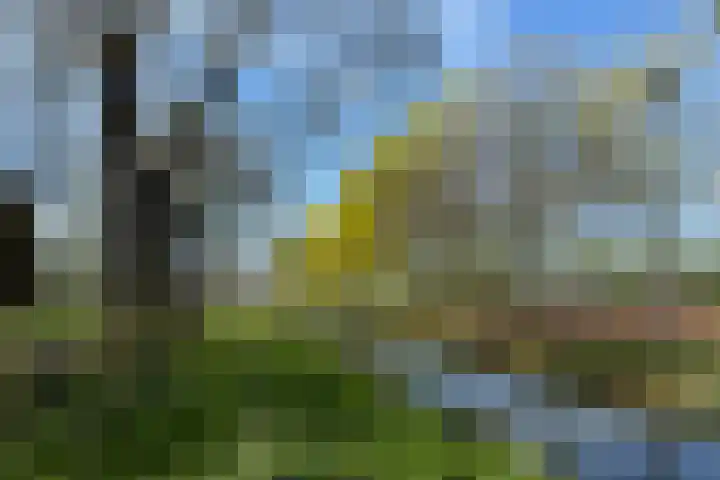 Zwanenkamp 1078 Maarssen thumbnail 54