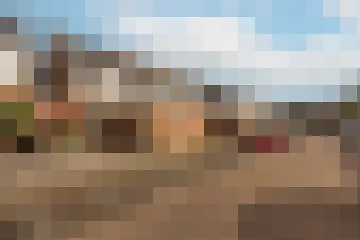 Zwanenkamp 1078 Maarssen thumbnail 62