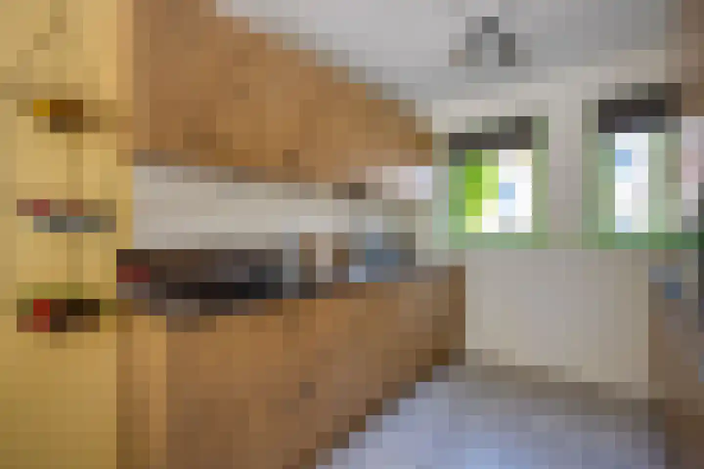 Zwanenkamp 1171 Maarssen thumbnail 18