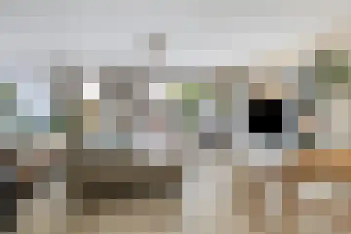 Zwanenkamp 1192 Maarssen thumbnail 4