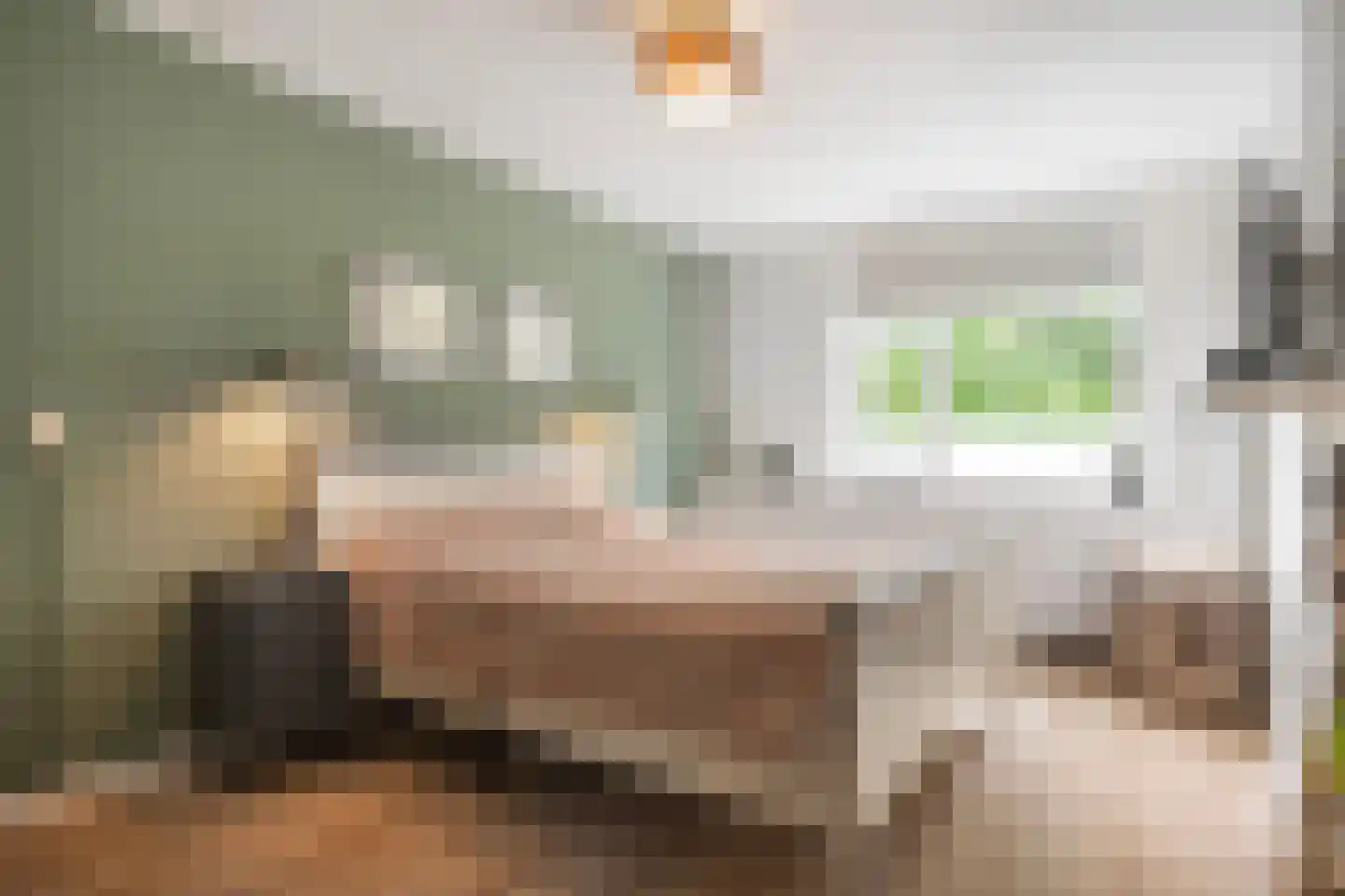Zwanenkamp 12 Maarssen thumbnail 10