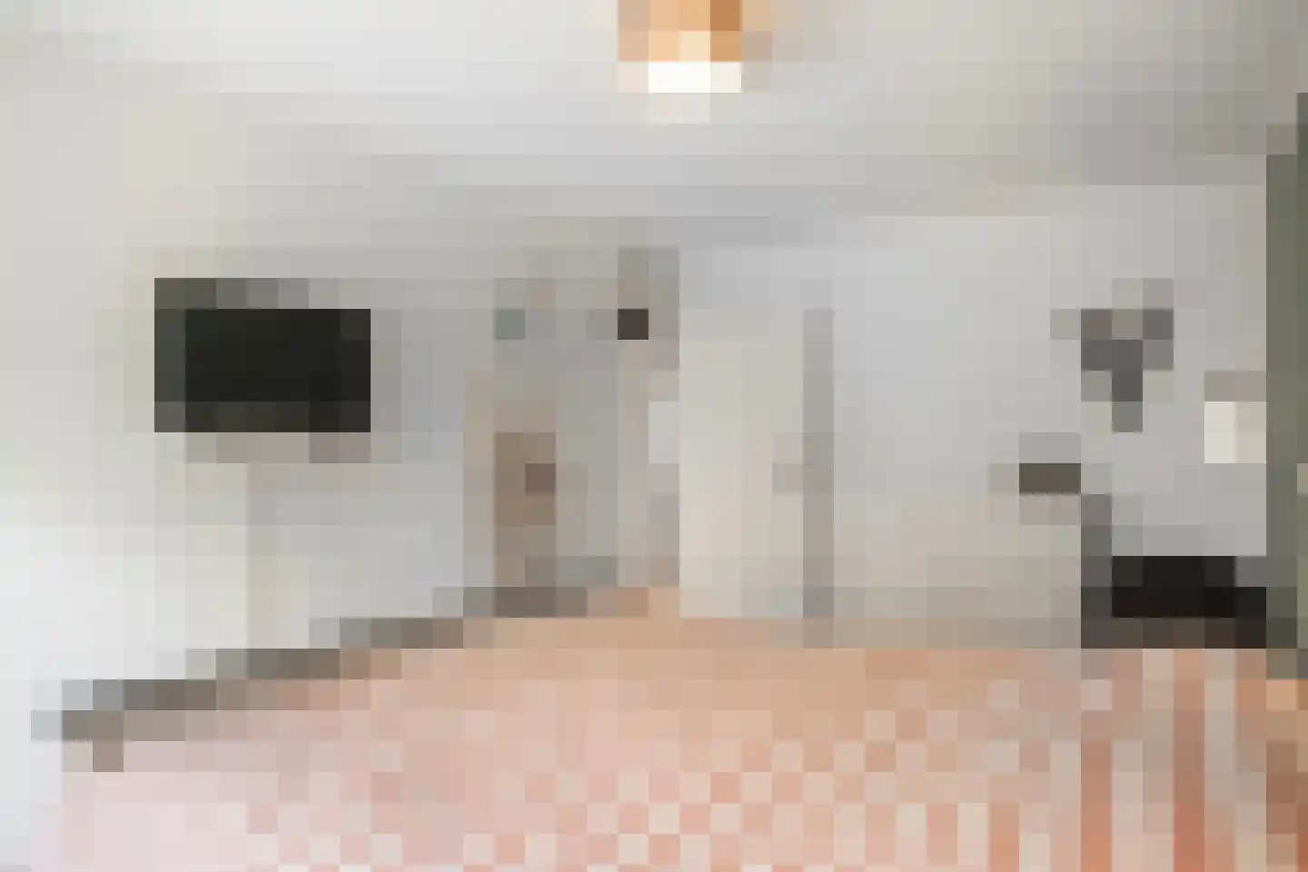 Zwanenkamp 12 Maarssen thumbnail 11