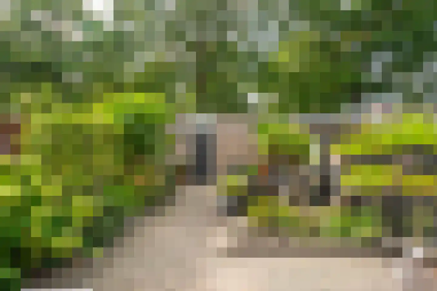 Zwanenkamp 12 Maarssen thumbnail 20