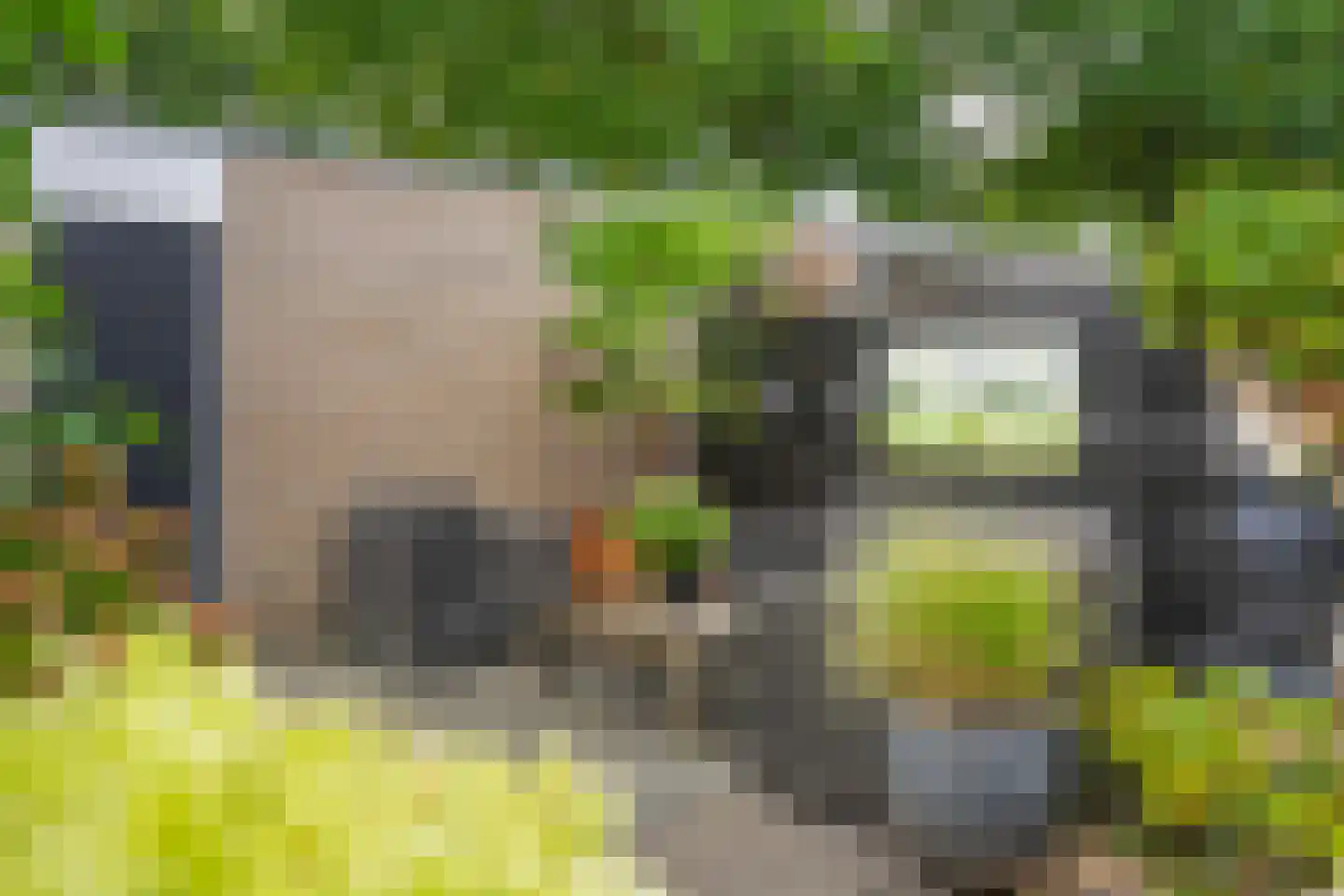 Zwanenkamp 12 Maarssen thumbnail 21