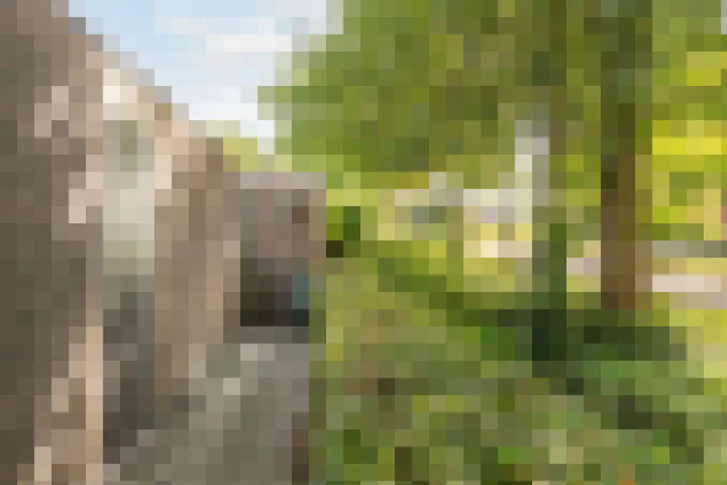 Zwanenkamp 12 Maarssen thumbnail 22