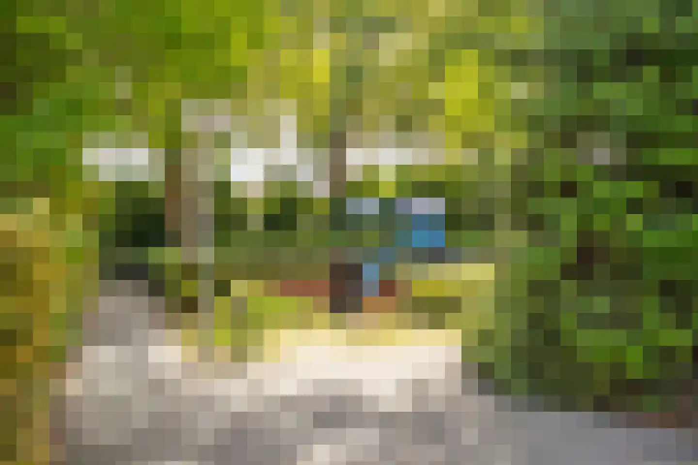 Zwanenkamp 12 Maarssen thumbnail 26