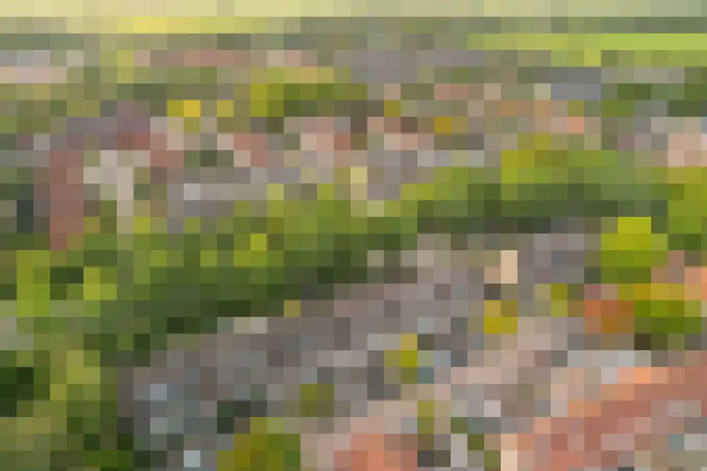 Zwanenkamp 12 Maarssen thumbnail 27