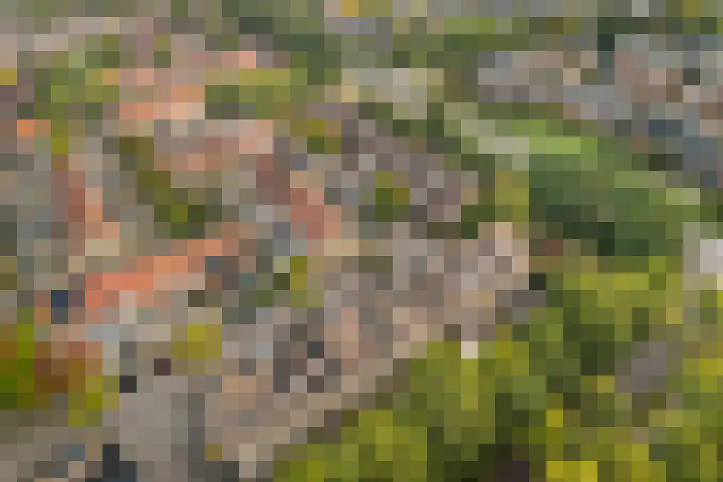 Zwanenkamp 12 Maarssen thumbnail 28