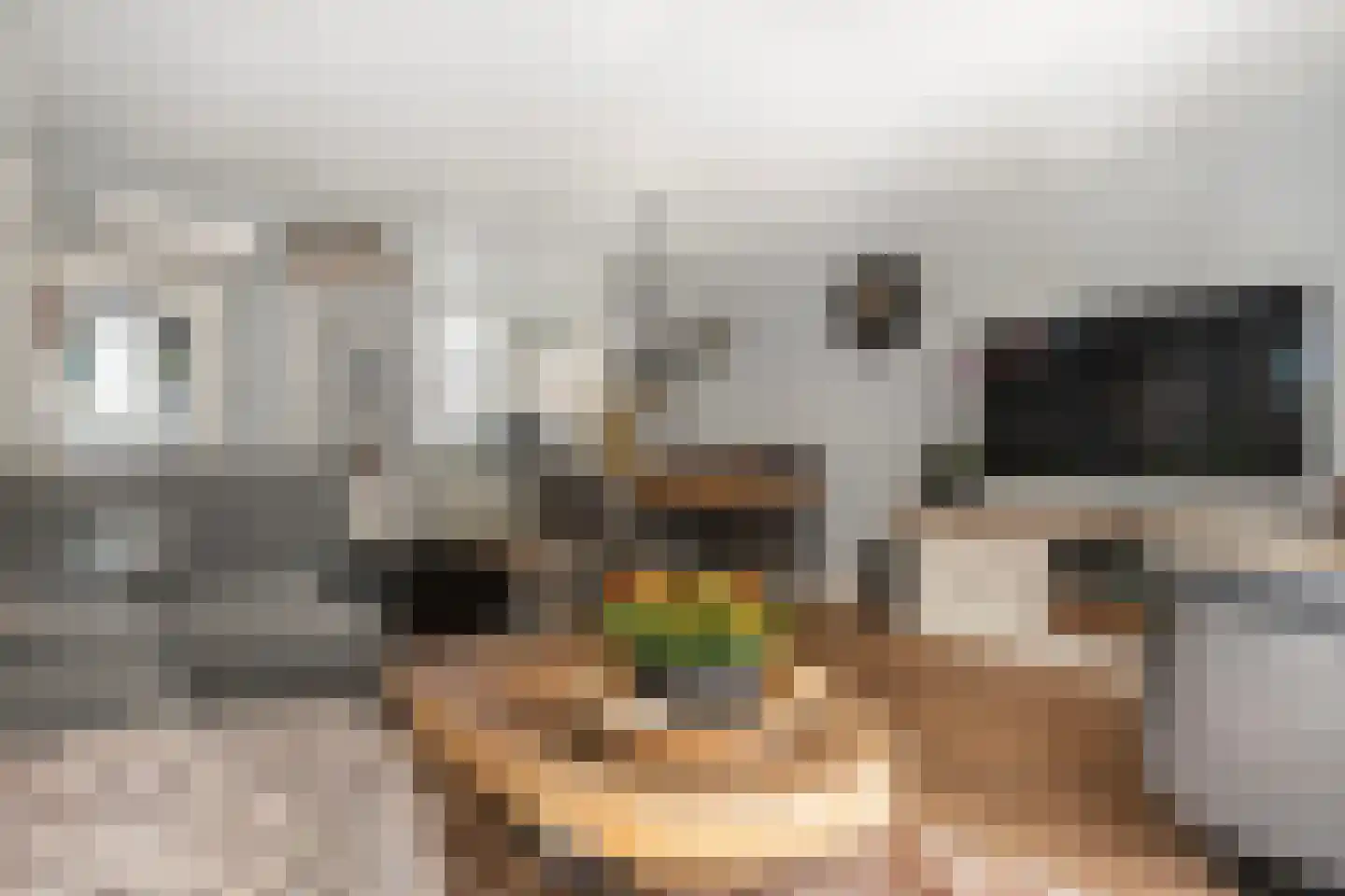 Zwanenkamp 12 Maarssen thumbnail 6