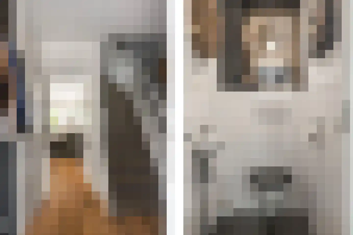 Zwanenkamp 12 Maarssen thumbnail 9